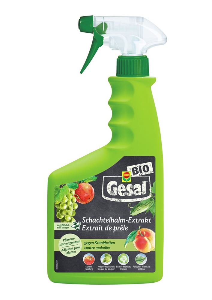 GESAL Schachtelhalm-Extrakt Fl 750ml GESAL Schachtelhalm-Extrakt Fl 750ml