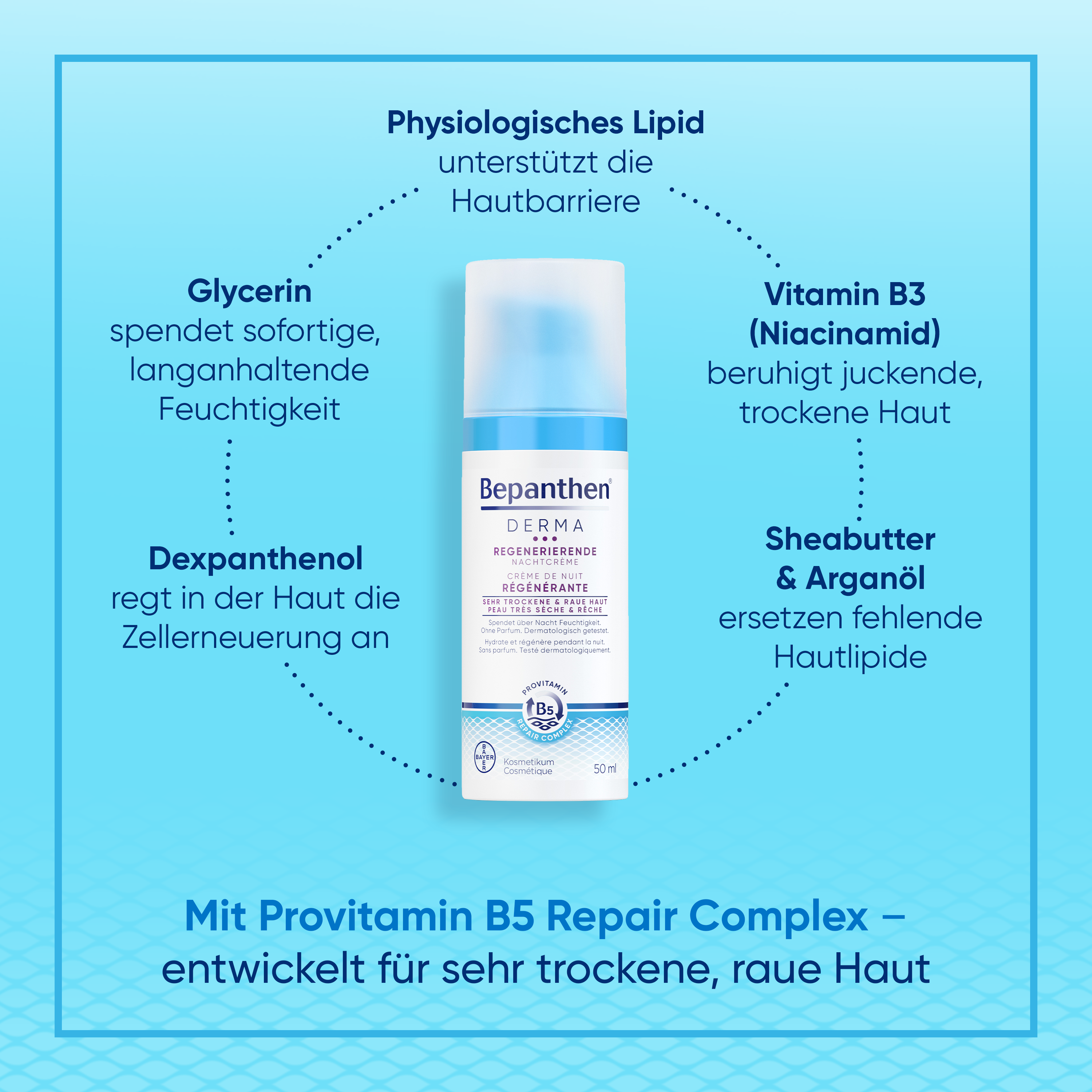  Bepanthen® DERMA Regenerierende Nachtcreme 50ml