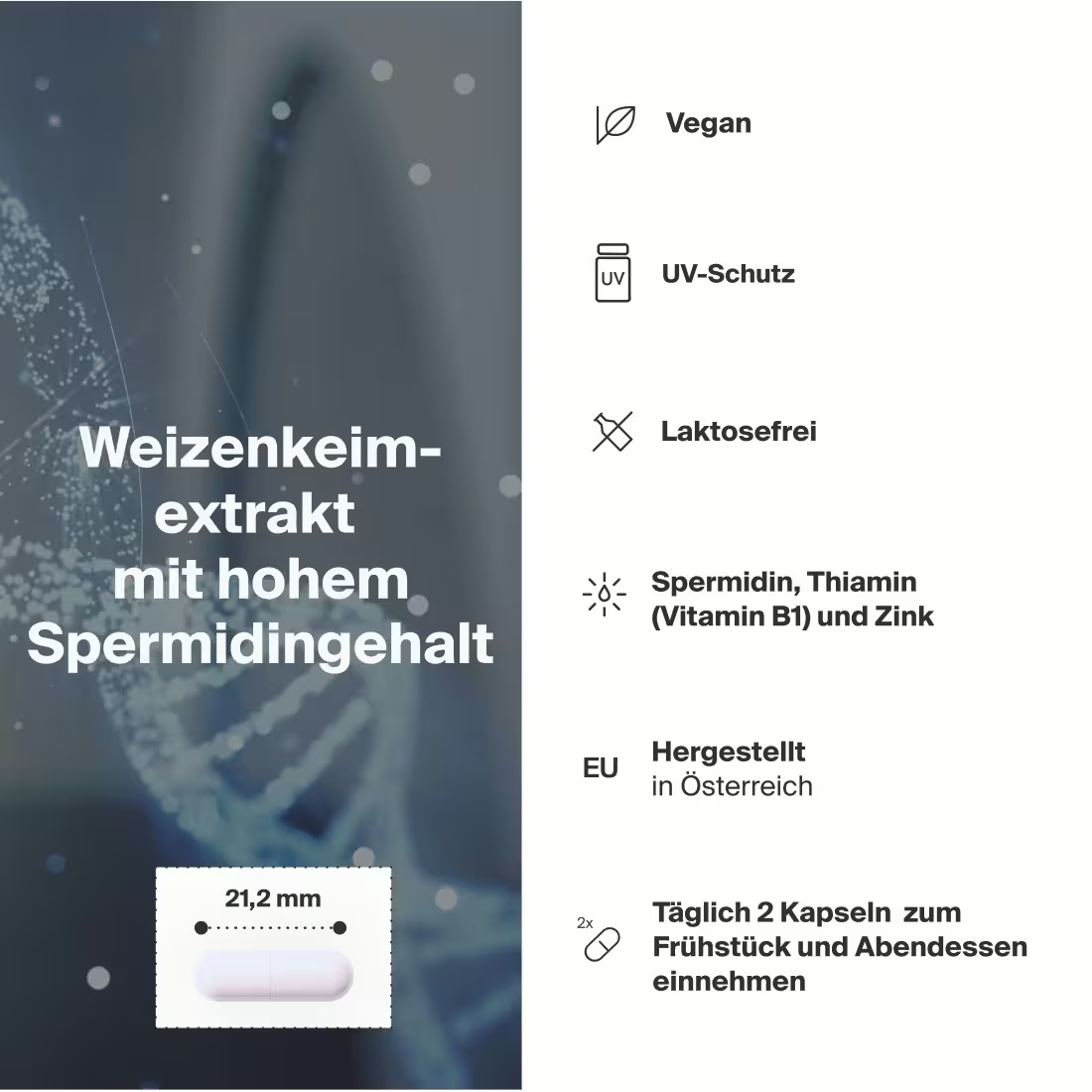 artgerecht Spermidin Longevity 60 Kapseln