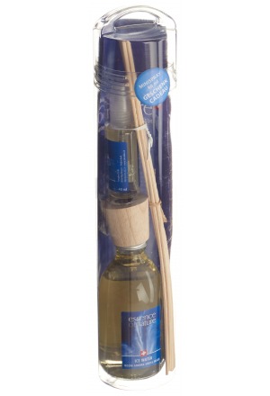 ESSENCE OF NATURE Sticks Ice Water 250ml