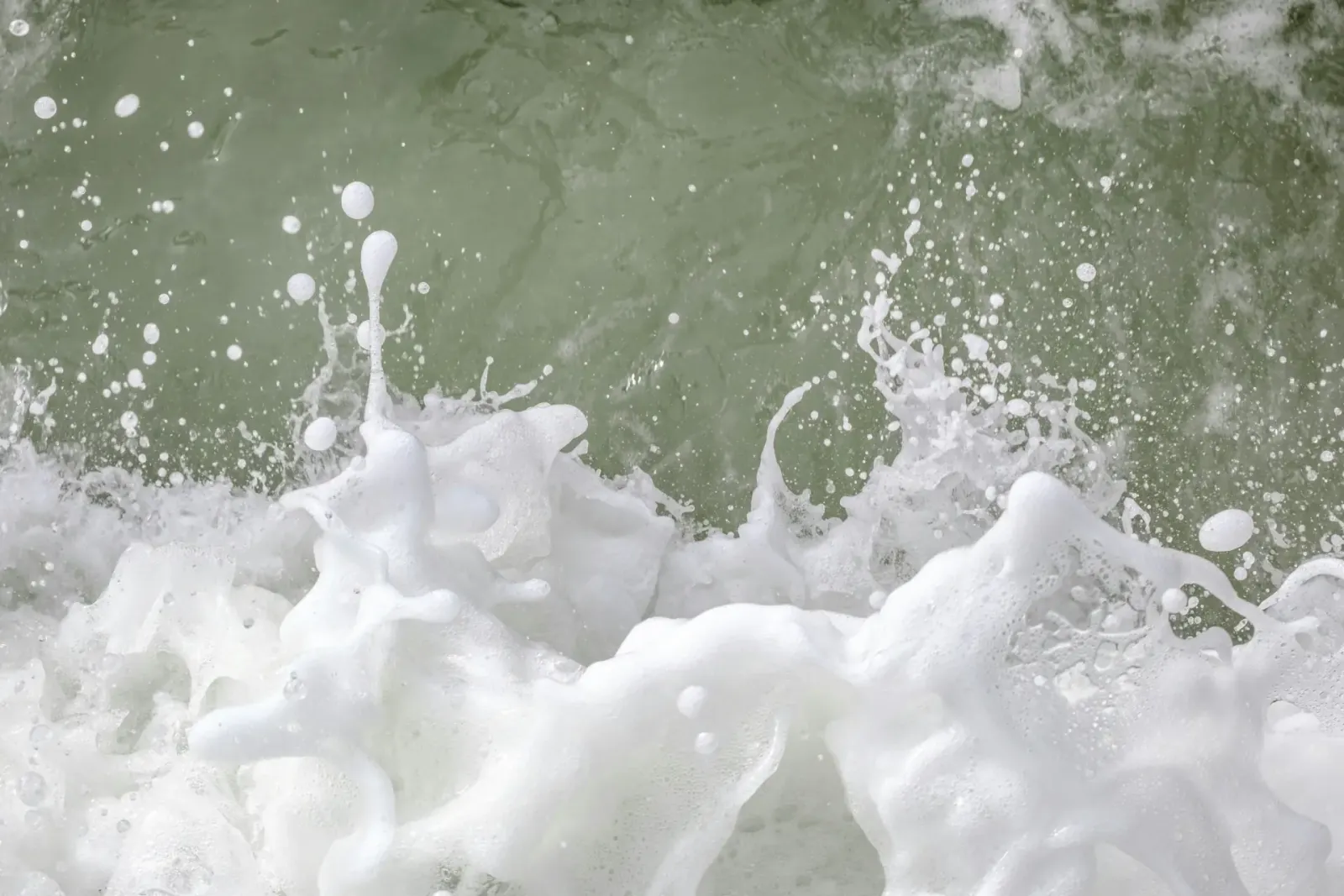 Lactoferrin – Das unterschätzte Immunprotein