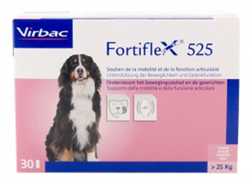 FORTIFLEX Tabl 525 mg Blist 30 Stück FORTIFLEX Tabl 525 mg Blist 30 Stück