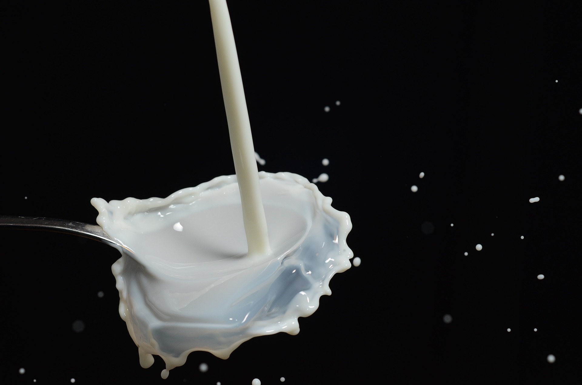 Milchsäurebakterien sind kleine Helfer mit grosser Wirkung Milchsäurebakterien sind kleine Helfer mit grosser Wirkung