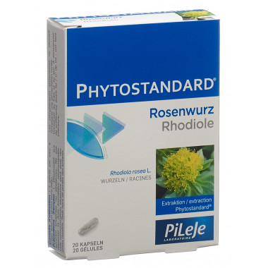 Phytostandard Rosenwurz Kapseln 20 Stück Phytostandard Rosenwurz Kapseln 20 Stück