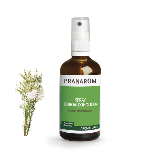 PRANAROM Aromaforce hydroalkoholisches Spray Bio 100ml PRANAROM Aromaforce hydroalkoholisches Spray Bio 100ml