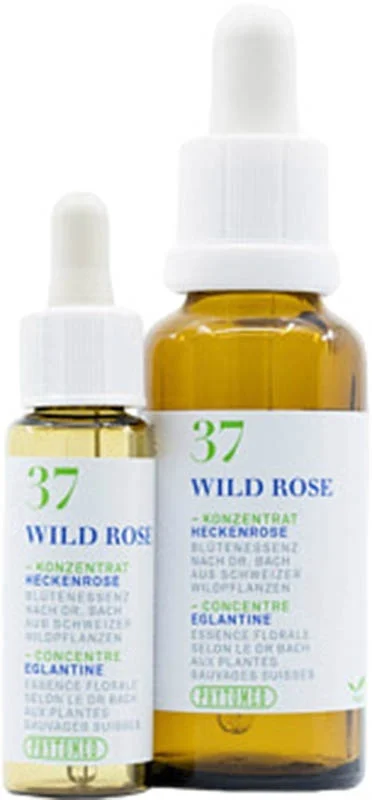 PHYTOMED Bachblüten 37 Heckenrose 10ml