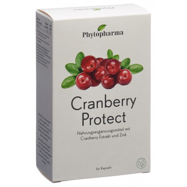 Phytopharma Cranberry Protect Kapseln 60 Stück Phytopharma Cranberry Protect Kapseln 60 Stück