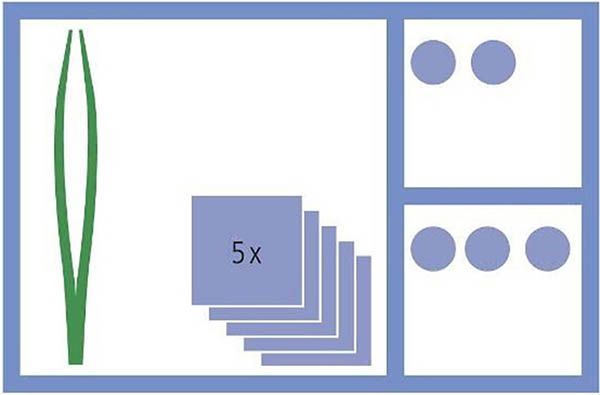 MediSet Wundversorgungsset No94