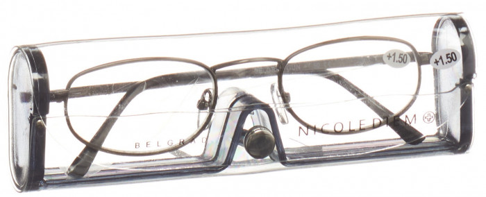 Nesti Dante Lesebrille Belgrad grau 1.5 dpt