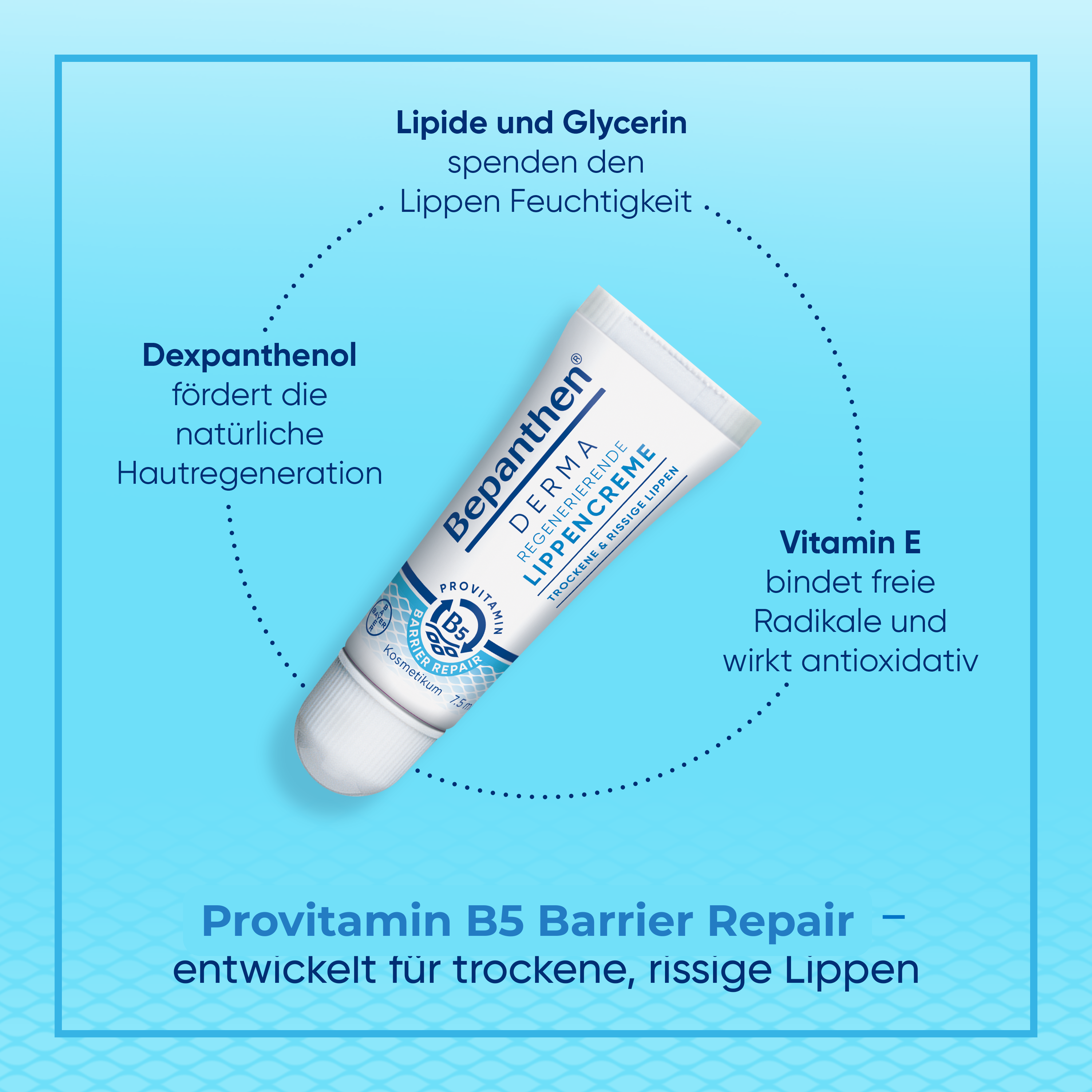BEPANTHEN DERMA Lippencreme regenerier (n) 7.5ml