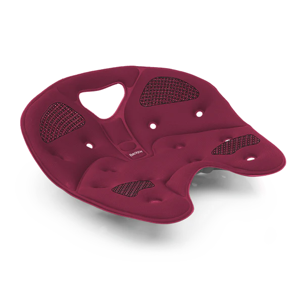 BACKJOY SitSmart Core Traction