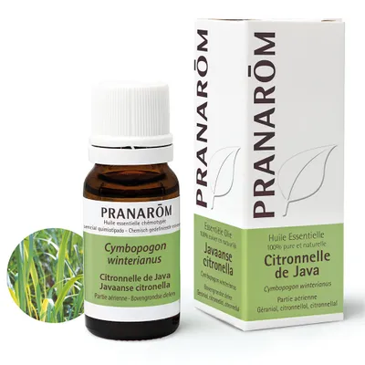 PRANAROM Java Citronella Äth/Öl Bio 10ml PRANAROM Java Citronella Äth/Öl Bio 10ml