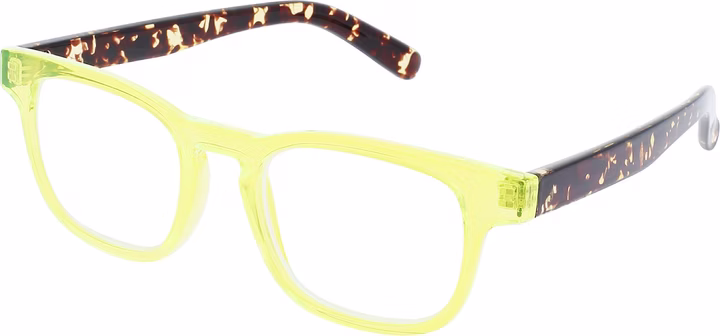 INVU Lesebrille 1.00 dpt B6224A