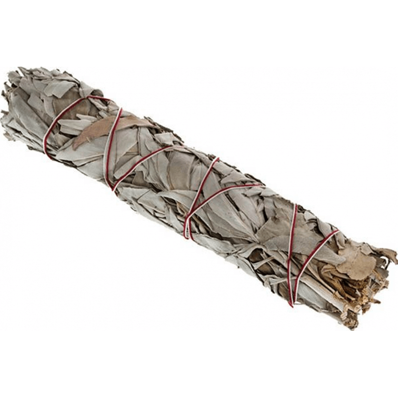 Indianherbs Salbei Bündel gross