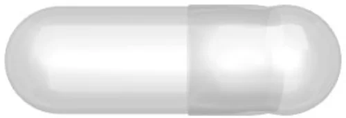 LGA Gelatinekapseln 3 transparent Box 1000 Stück