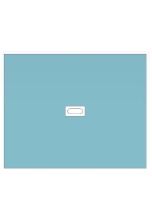 BARRIER Lochtuch 50x60cm selbstklebend 150 Stk BARRIER Lochtuch 50x60cm selbstklebend 150 Stk