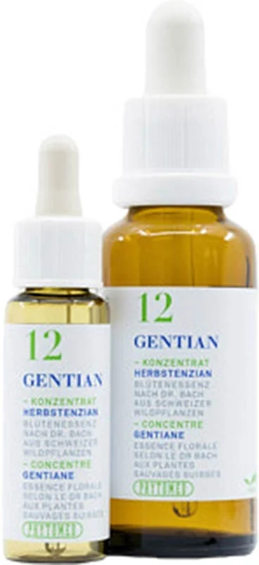 PHYTOMED Bachblüten 12 Herbstenzian 10ml