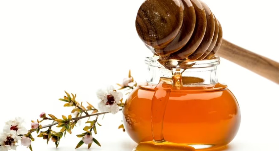 Manuka-Honig: Wirkung, Anwendung & MGO-Werte erklärt