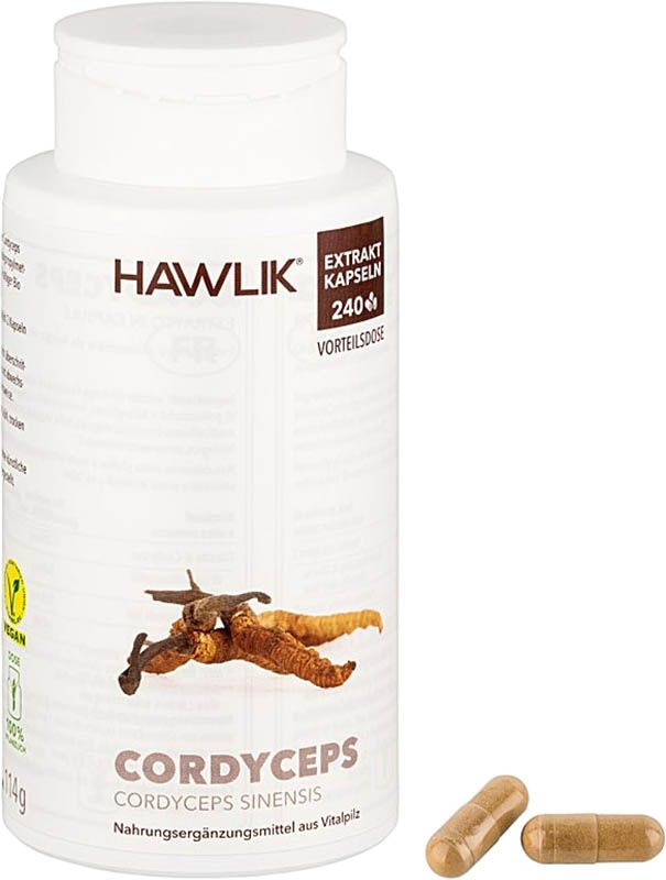 HAWLIK Cordyceps Extrakt Kapseln 240 Stück