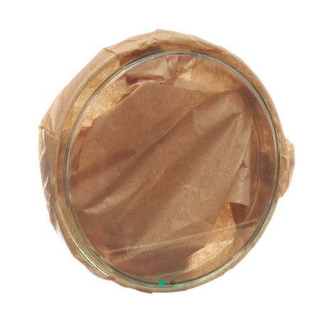 ASSISTENT Petrischale 10x2cm Glas