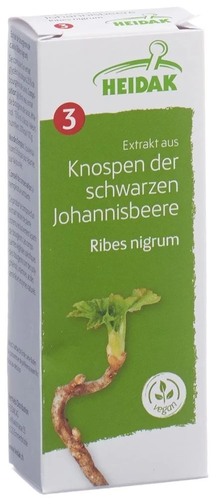 HEIDAK Knospe Johannisbeere Ribes nigrum Glyzerinmazerat 250ml