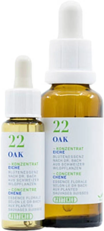 PHYTOMED Bachblüten 22 Eiche 10ml