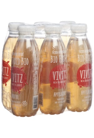 VIVITZ Bio Eistee Apfelminze 6 x 0.5lt