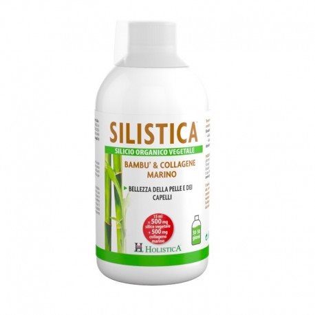 Holistica Silistica Silicium pflanzlich Flasche 500ml