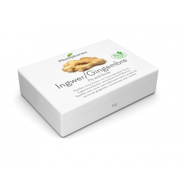 Phytopharma Ingwer Fly and Drive Pastillen 40 Stück Phytopharma Ingwer Fly and Drive Pastillen 40 Stück