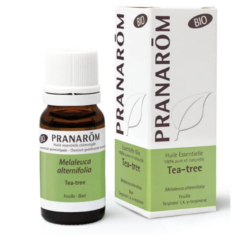 PRANAROM Teebaum Äth/Öl Bio 10ml PRANAROM Teebaum Äth/Öl Bio 10ml