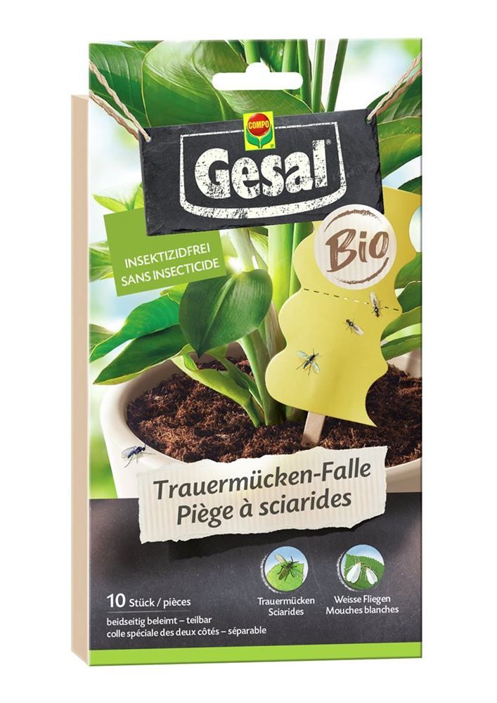 GESAL Trauermücken-Falle Bio 10 Stuck GESAL Trauermücken-Falle Bio 10 Stuck