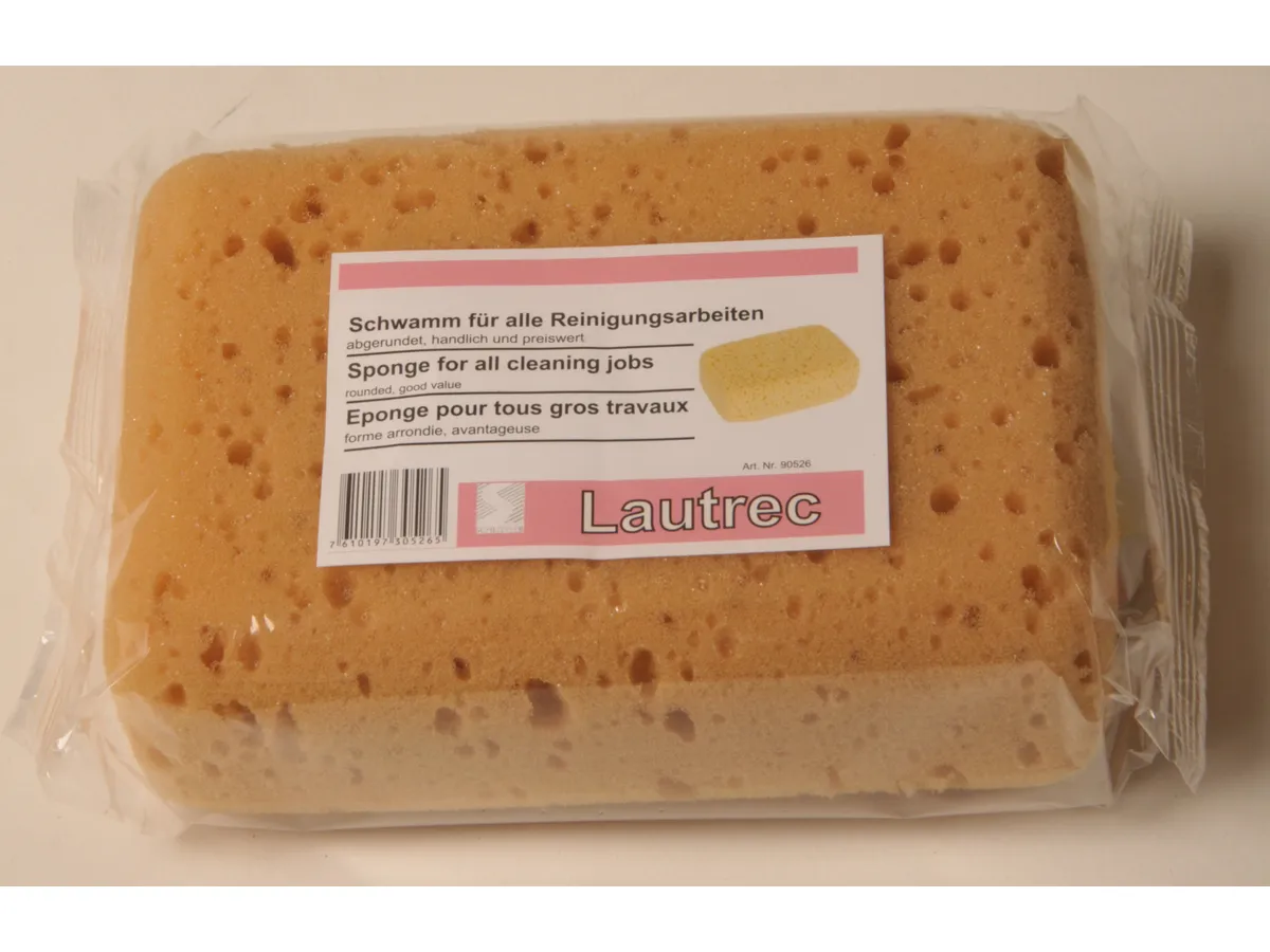 FRINA BADY Putzschwamm