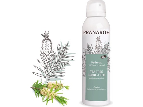 PRANAROM Organisches Teebaumhydrolat Bio 150ml PRANAROM Organisches Teebaumhydrolat Bio 150ml
