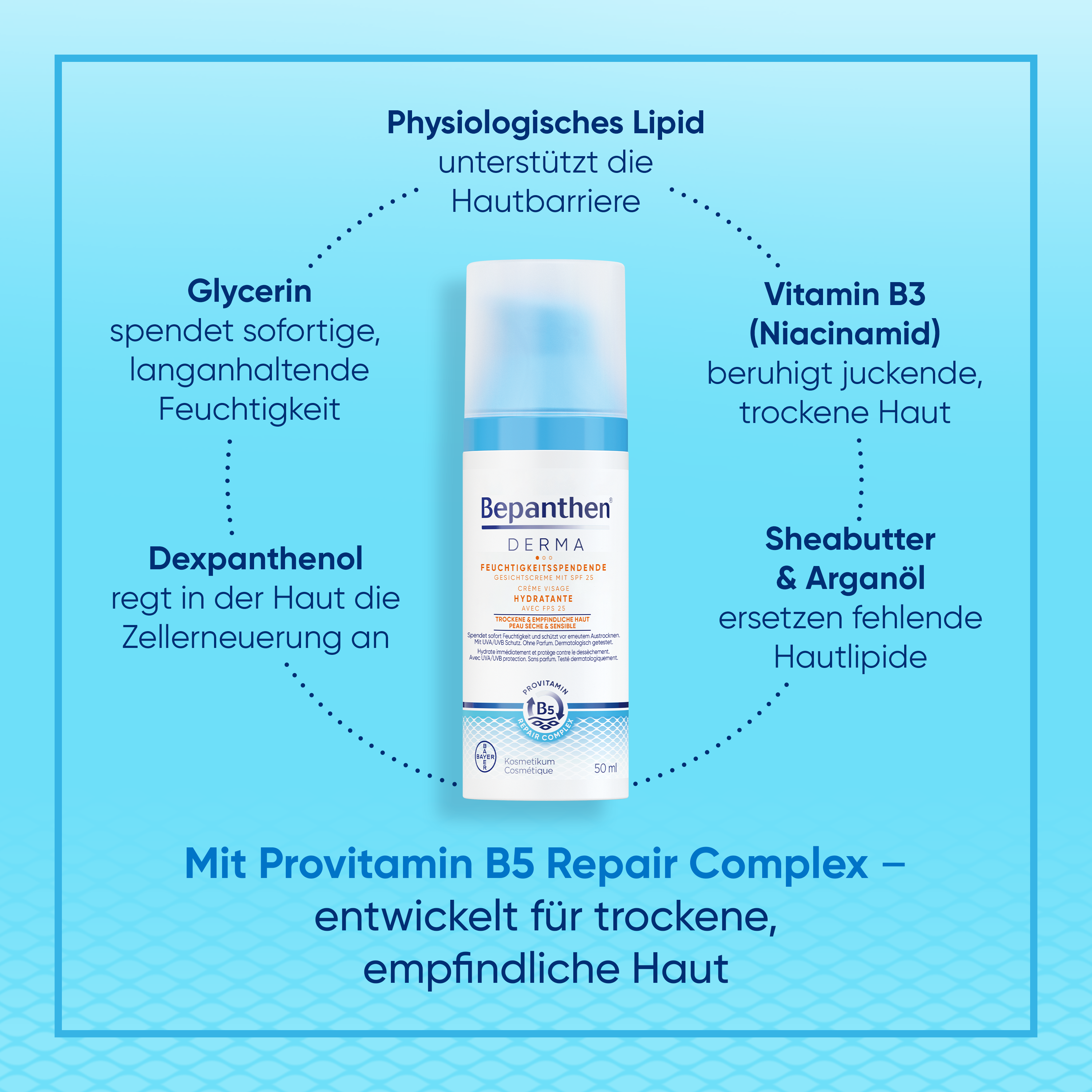 Bepanthen® Derma feuchtigkeitsspendende Gesichtscreme SPF25 50ml