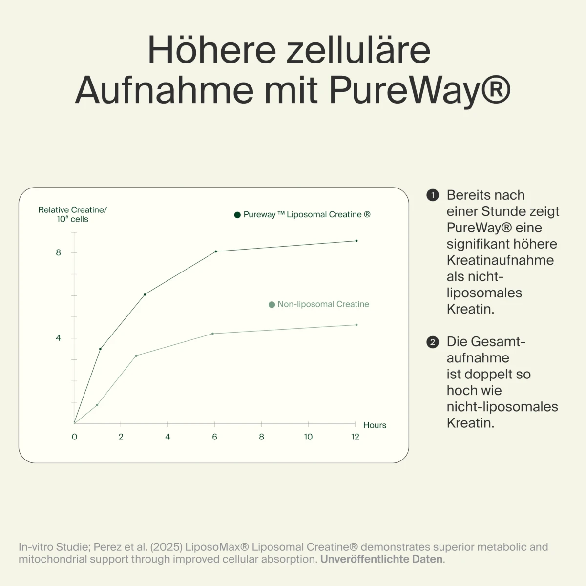artgerecht PureWay® Kreatin 139g