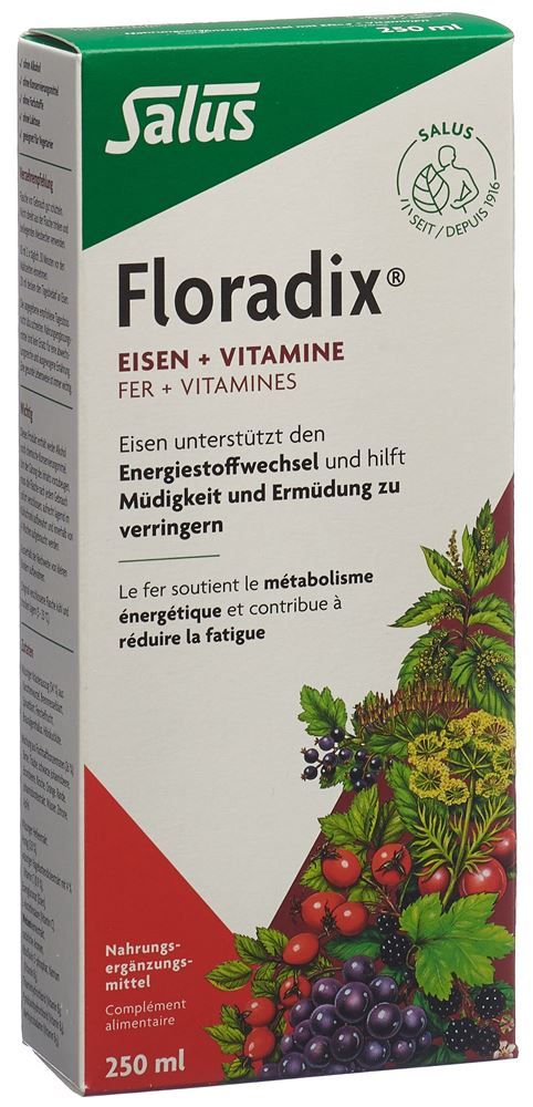 Floradix Eisen + Vitamine 250ml Floradix Eisen + Vitamine 250ml