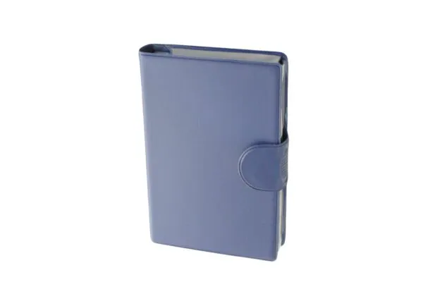 Medidos Medikamentenbox französisch blau Medidos Medikamentenbox französisch blau