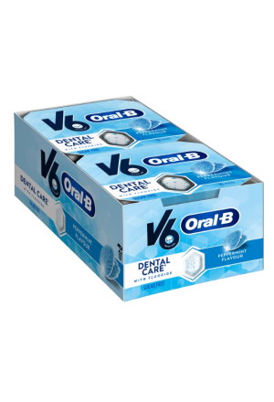V6 Kaugummi Peppermint 12 x 10 Stück