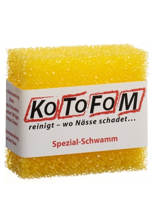 Kotofom Schwamm GrII