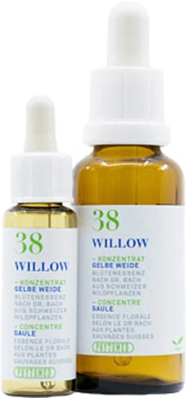 PHYTOMED Bachblüten 38 Weide gelb 10ml