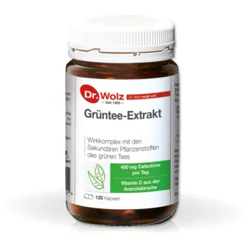 DR. WOLZ Grüntee Extrakt Kapseln 120 Stück