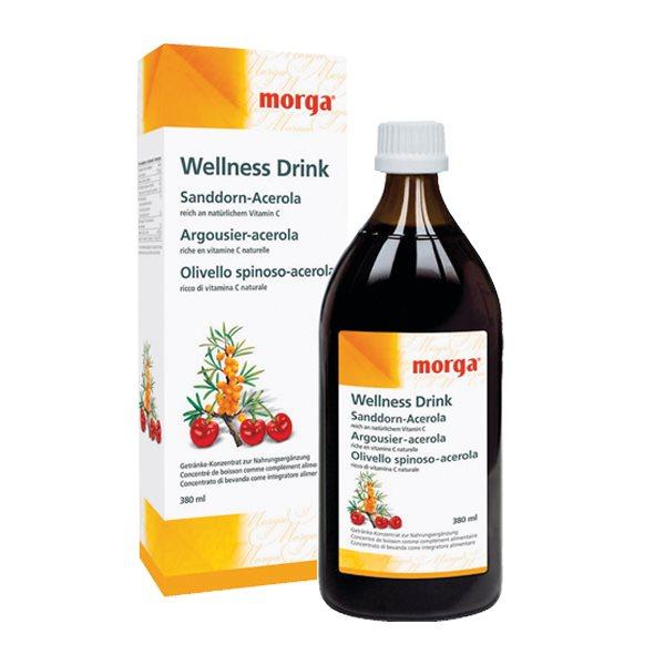 Morga Sanddorn Wellness Drink Fl 380ml