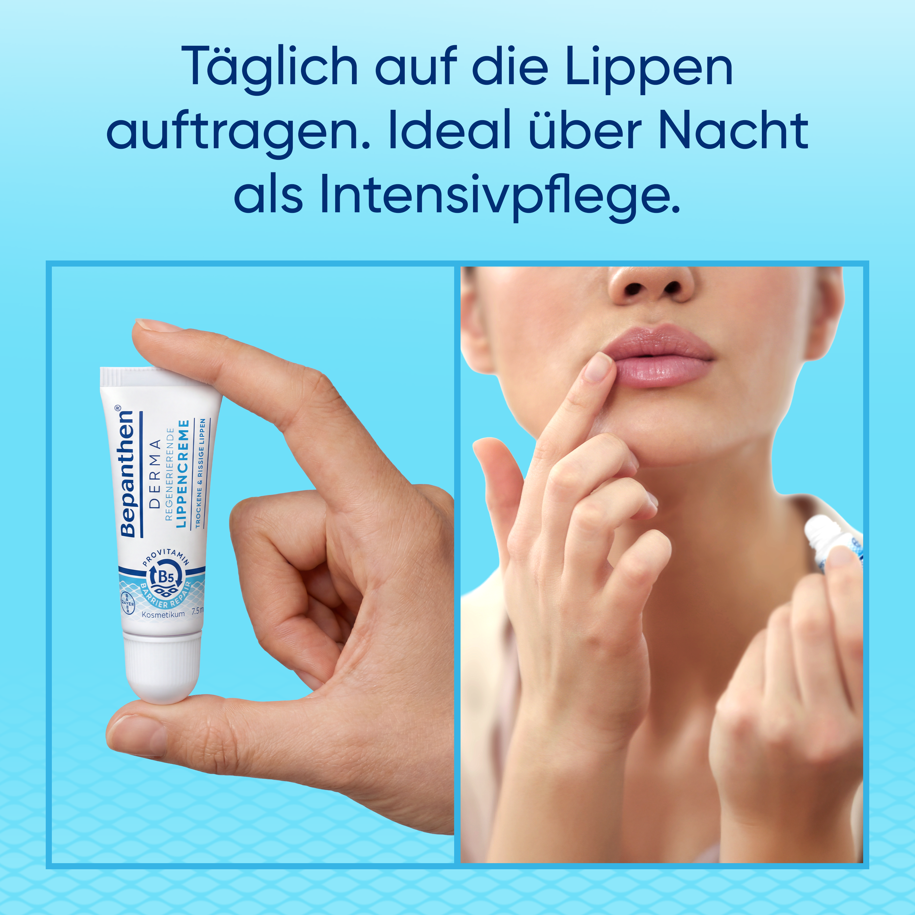 BEPANTHEN DERMA Lippencreme regenerier (n) 7.5ml