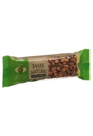 Taste of Nature Riegel Apple 40g