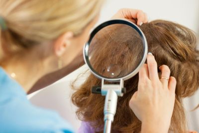 Läuse erkennen – so sehen sie wirklich aus | Online-Apotheke.ch
